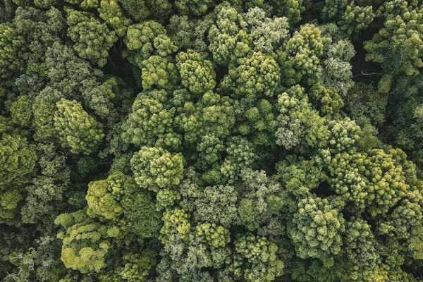 Les dangers cachés de l'eau du robinet et comment agir